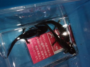 KODAK Digital Still Camera