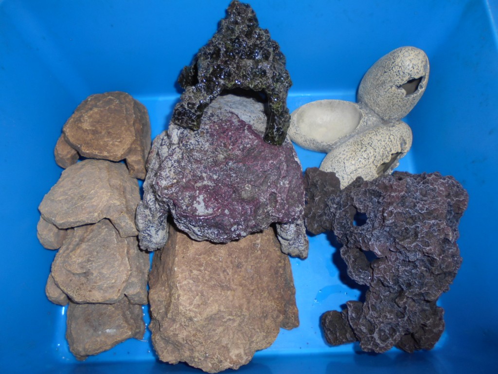 DSCN1444
