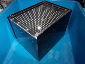 KODAK Digital Still Camera