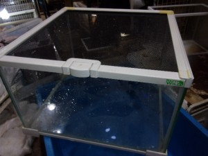 KODAK Digital Still Camera