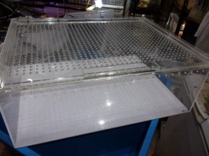 KODAK Digital Still Camera