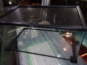 KODAK Digital Still Camera