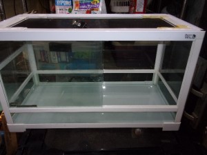 KODAK Digital Still Camera