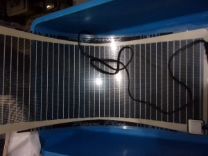 KODAK Digital Still Camera