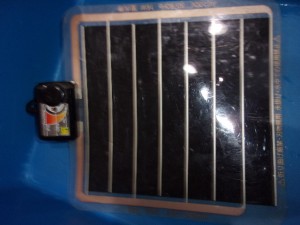 KODAK Digital Still Camera