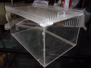 KODAK Digital Still Camera