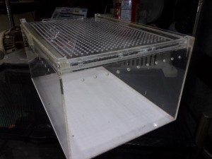 KODAK Digital Still Camera