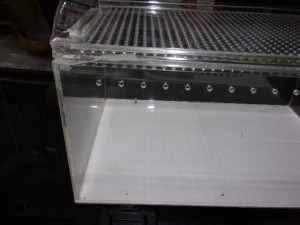 KODAK Digital Still Camera