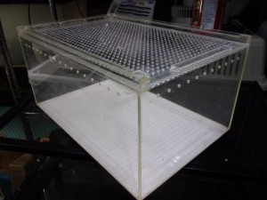 KODAK Digital Still Camera