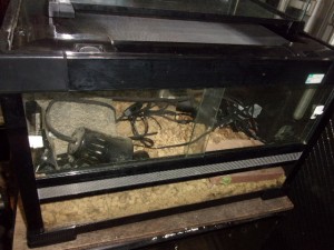 KODAK Digital Still Camera