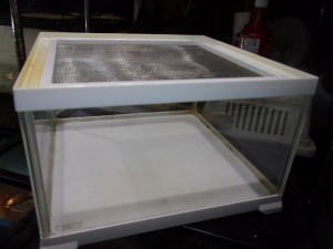 KODAK Digital Still Camera