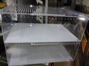 KODAK Digital Still Camera