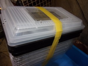 KODAK Digital Still Camera