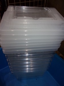 KODAK Digital Still Camera