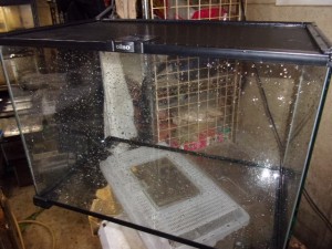 KODAK Digital Still Camera