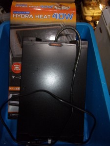 KODAK Digital Still Camera