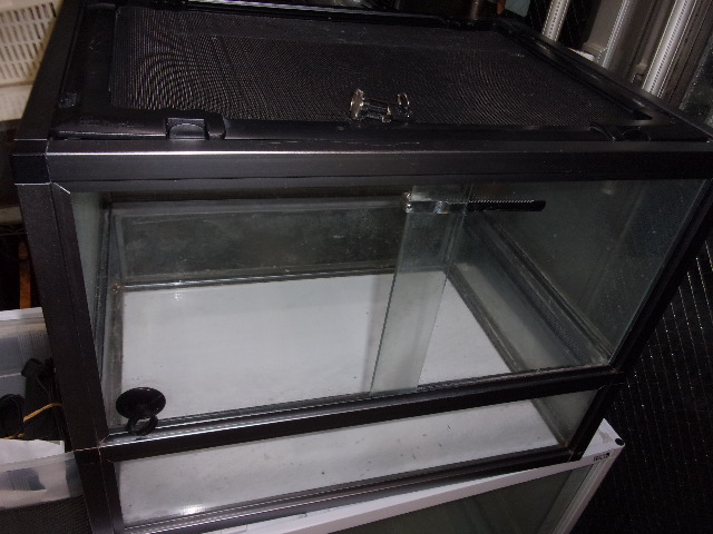 KODAK Digital Still Camera