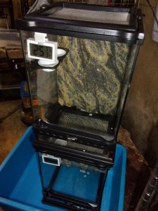 KODAK Digital Still Camera