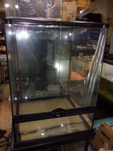 KODAK Digital Still Camera