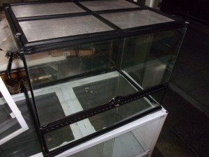 KODAK Digital Still Camera