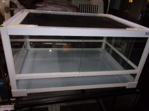 KODAK Digital Still Camera