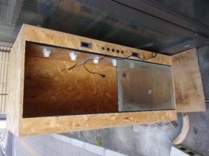 KODAK Digital Still Camera