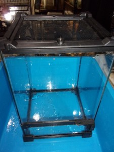 KODAK Digital Still Camera