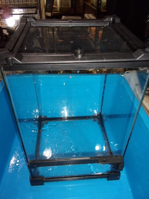 KODAK Digital Still Camera