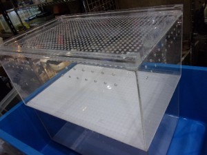 KODAK Digital Still Camera