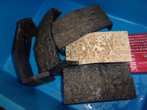 KODAK Digital Still Camera