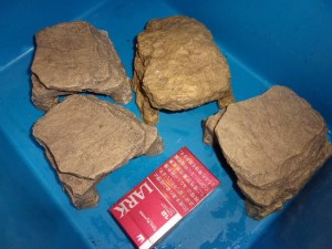 KODAK Digital Still Camera