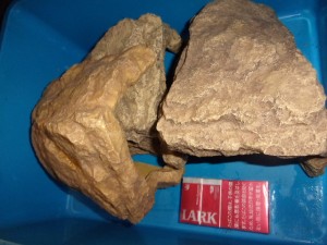 KODAK Digital Still Camera