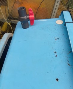 260605181942271